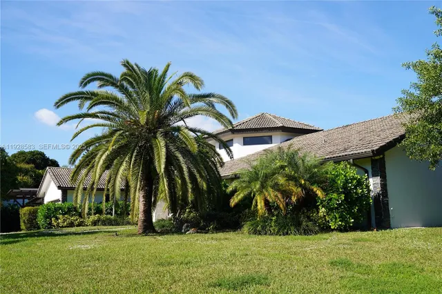 a view of a backyard with potted plants and palm trees