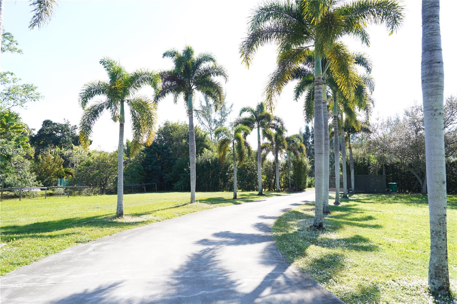 18901 Southwest 50th Street Southwest Ranches, FL 33332 - Photo 48 of 51 a view of a park with palm trees