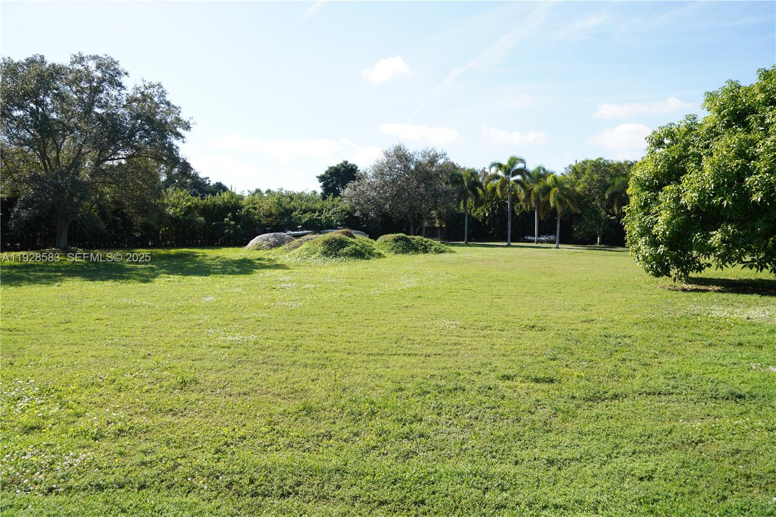 18901 Southwest 50th Street Southwest Ranches, FL 33332 - Photo 49 of 51 a view of a field with an trees