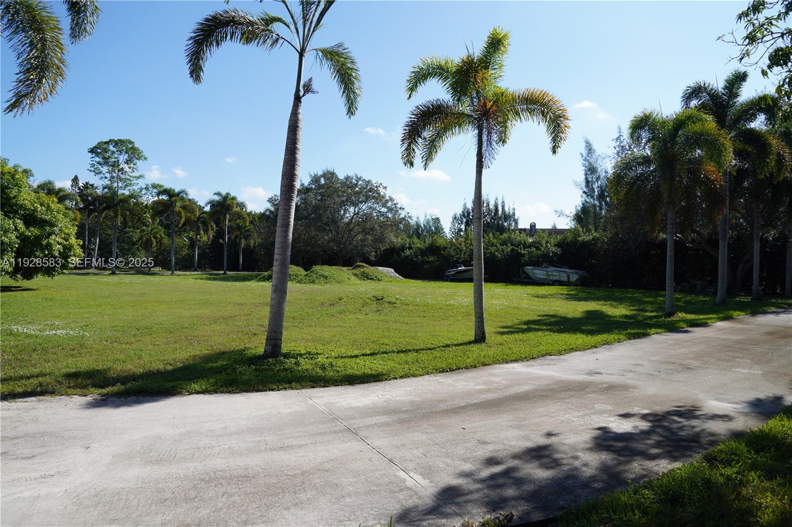 18901 Southwest 50th Street Southwest Ranches, FL 33332 - Photo 50 of 51 a view of a park with palm trees