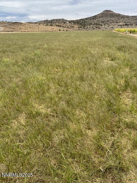 3995 Bacon Rind Road Reno, NV 89510 - Photo 11 of 14 a view of an ocean and mountain