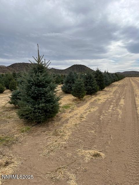 3995 Bacon Rind Road Reno, NV 89510 - Photo 13 of 14 a view of a large body of water with a building in the background