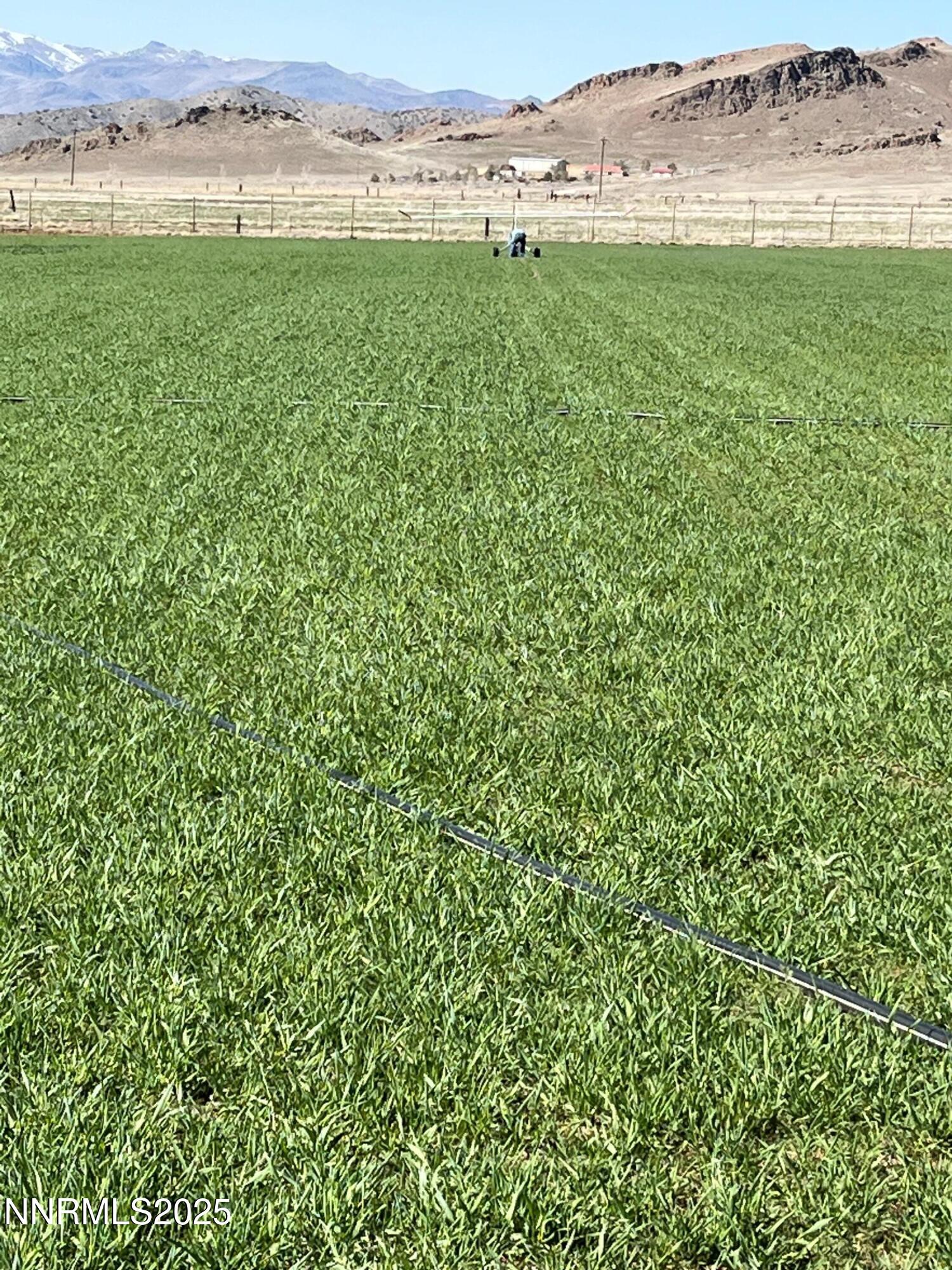 3995 Bacon Rind Road Reno, NV 89510 - Photo 2 of 14 a view of a field with an outdoor space