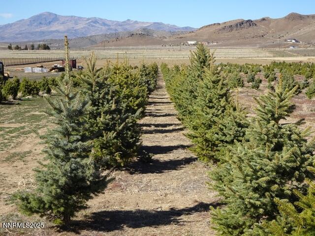 3995 Bacon Rind Road Reno, NV 89510 - Photo 6 of 14 a view of a lake with mountains in the background