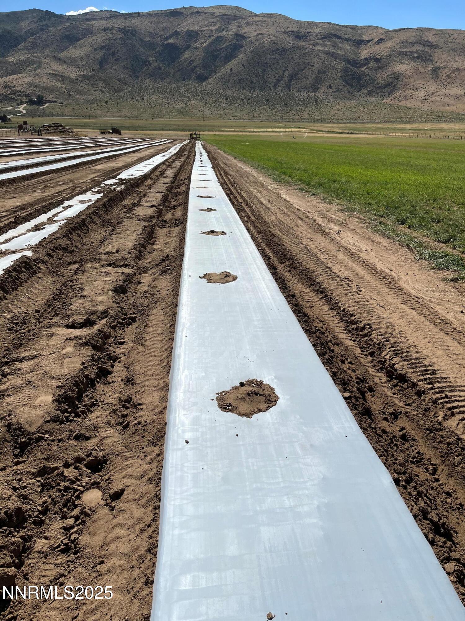 3995 Bacon Rind Road Reno, NV 89510 - Photo 7 of 14 a view of a backyard