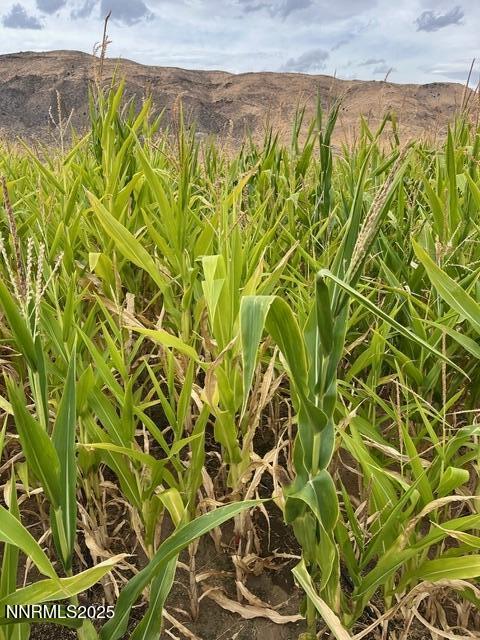 3995 Bacon Rind Road Reno, NV 89510 - Photo 10 of 14