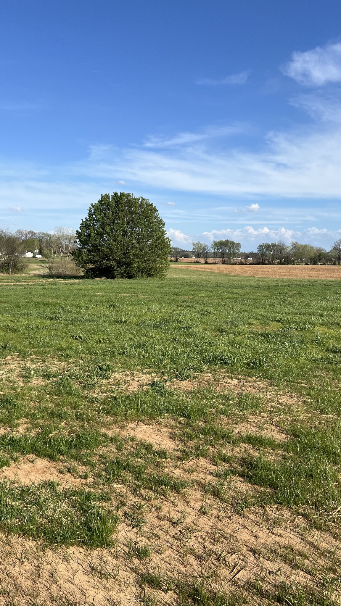 416 Old Major Road Hopkinsville, KY 42240 - Photo 41 of 41 a view of a field with an ocean
