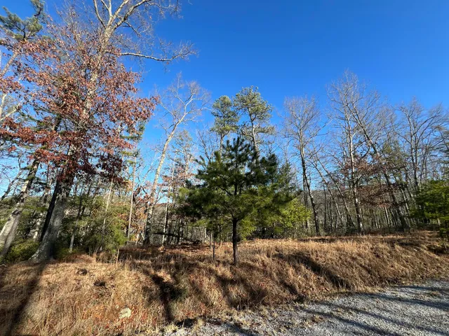 $145,000 | Lot 45 Black Diamond Drive, New Castle, VA 24127