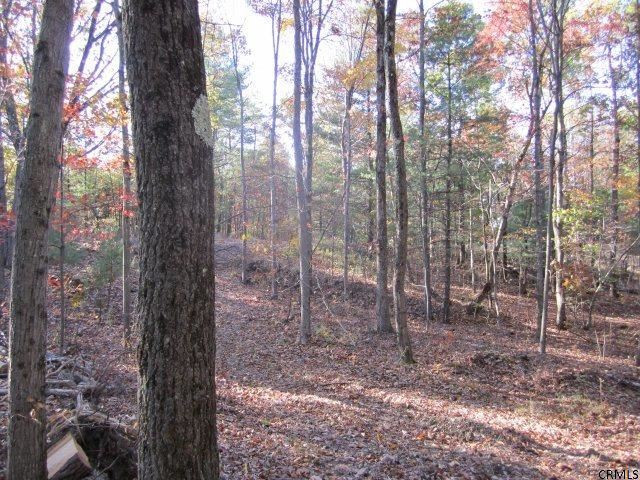 178 Rohloff Road Schodack, NY 12123 - Photo 1 of 4 Photo 1