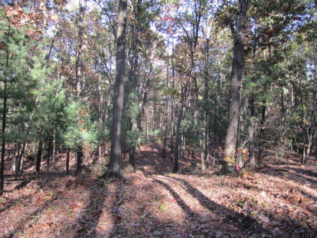 178 Rohloff Road Schodack, NY 12123 - Photo 2 of 4 Photo 2