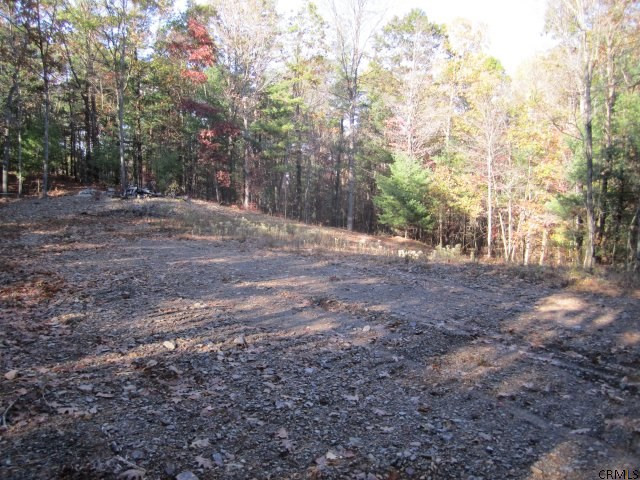 178 Rohloff Road Schodack, NY 12123 - Photo 3 of 4 Photo 3