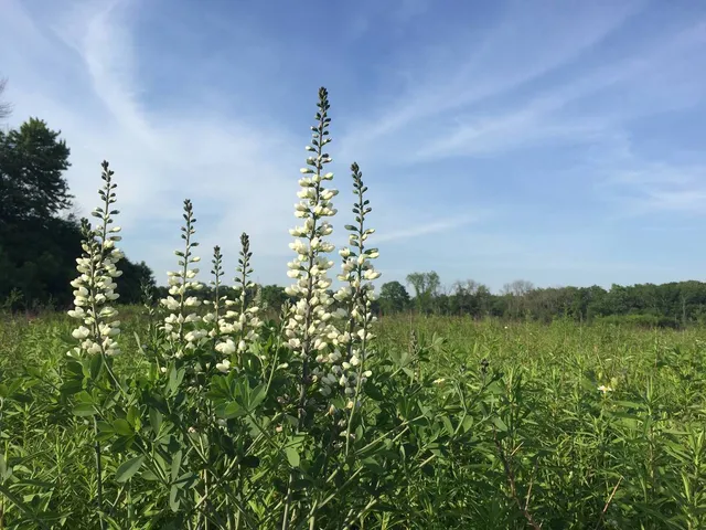 $500,000 | 26366 North Farwell Road, Mettawa, IL 60045