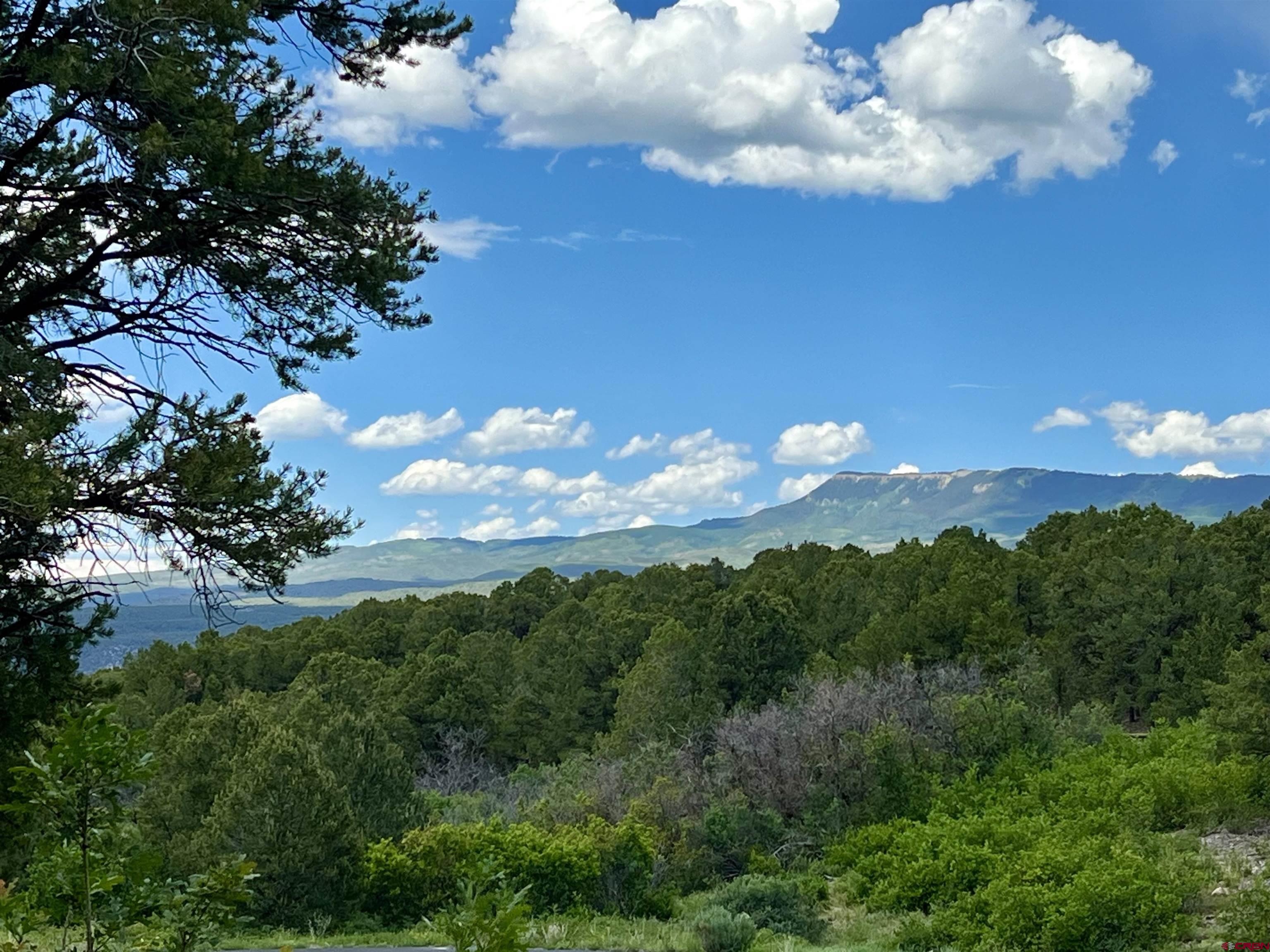 Lot 9 Pointe Escape Drive Ridgway, CO 81432 - Photo 26 of 33