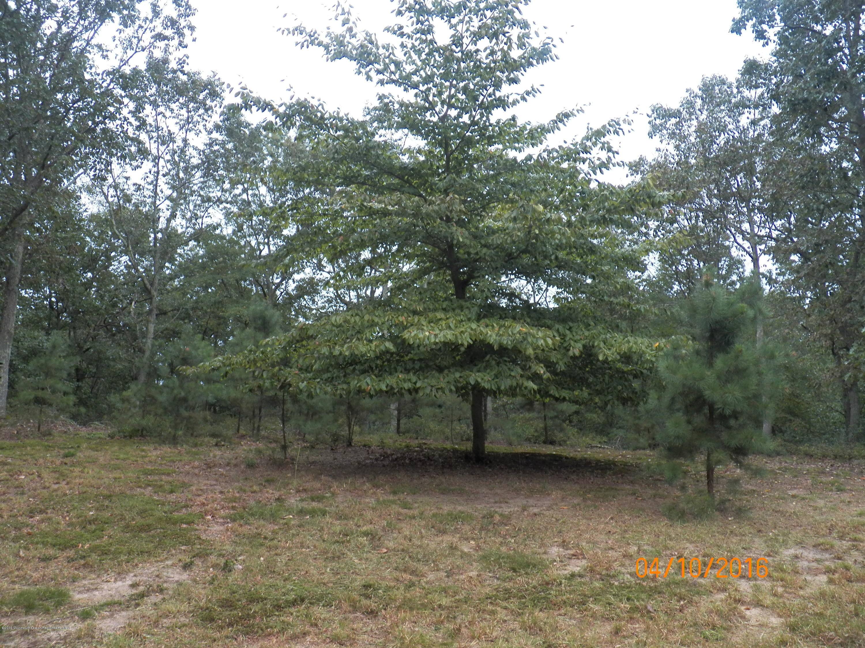 2019 property 4