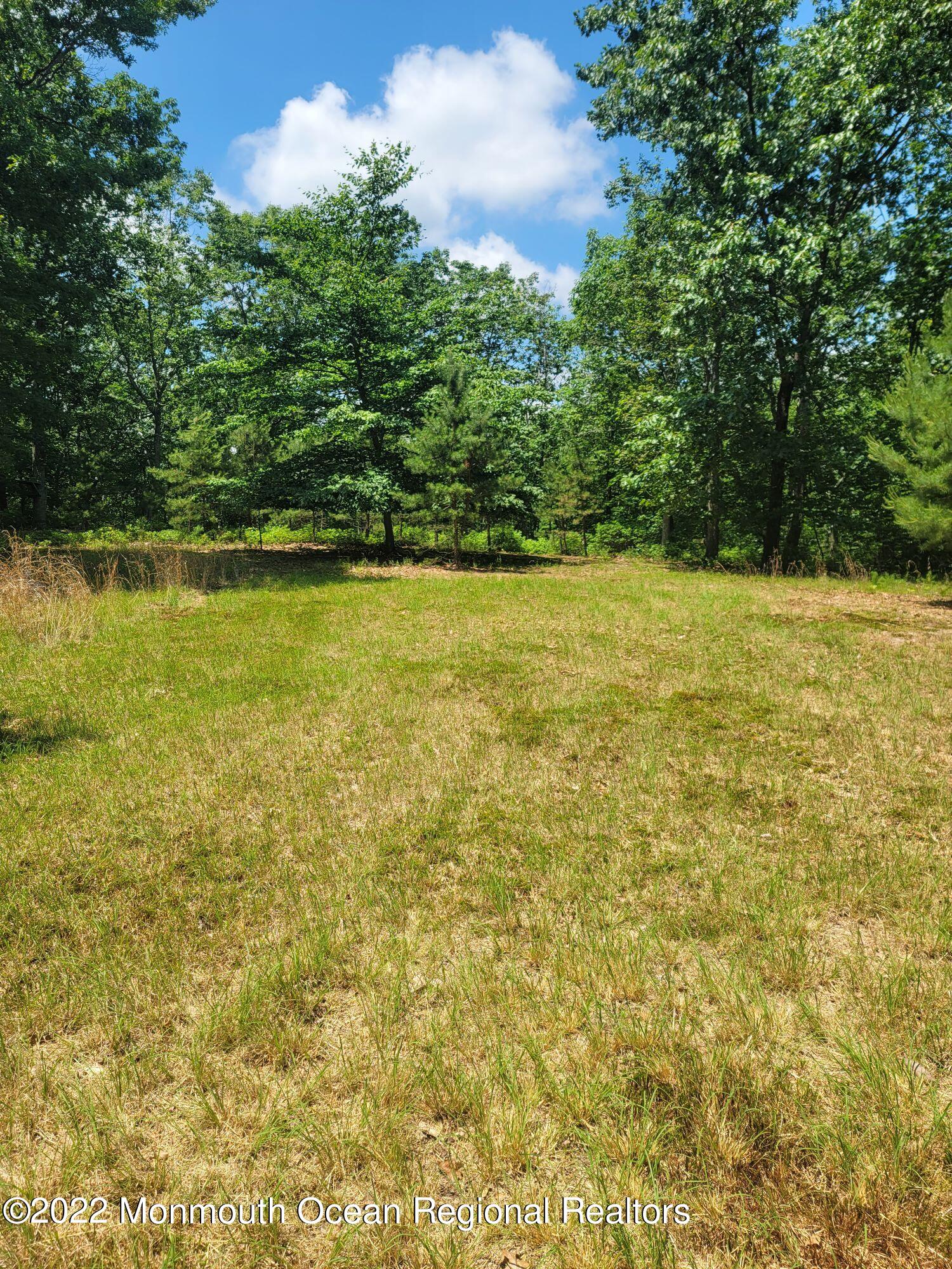 91 Tower Road New Egypt, NJ 08533 - Photo 8 of 8 2022 91 tower