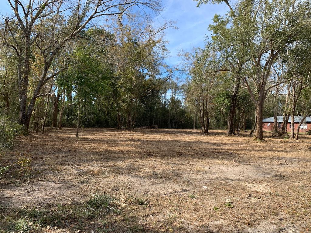 6 Honey Hill Road Wewahitchka, FL 32465 - Photo 1 of 18