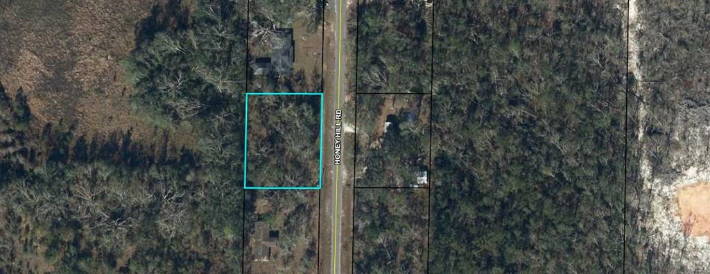 6 Honey Hill Road Wewahitchka, FL 32465 - Photo 11 of 18