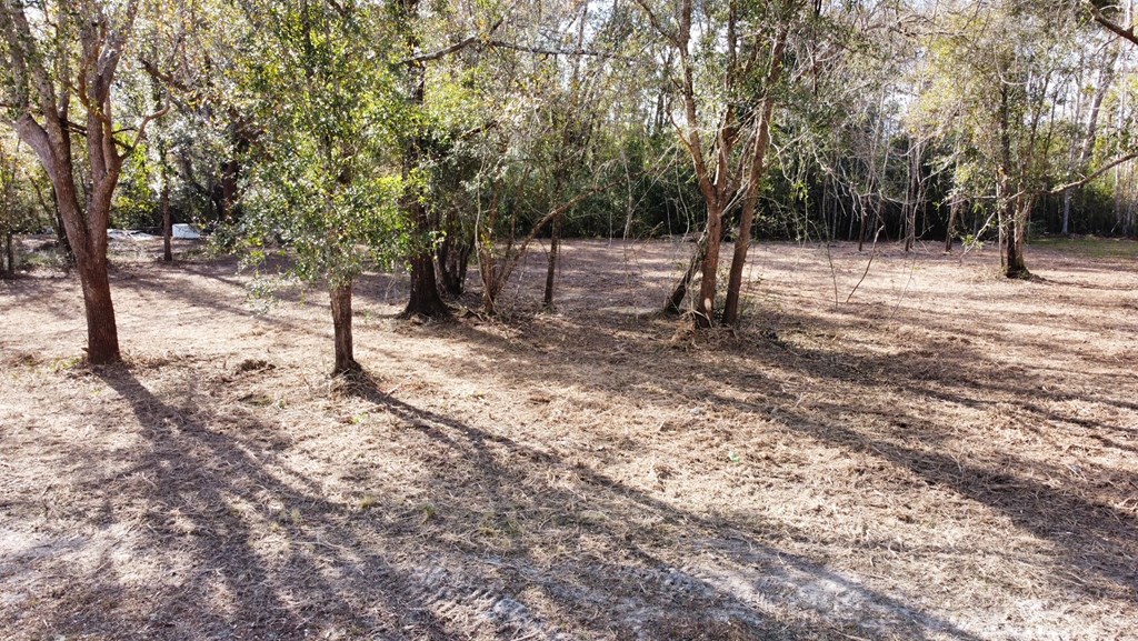 6 Honey Hill Road Wewahitchka, FL 32465 - Photo 12 of 18