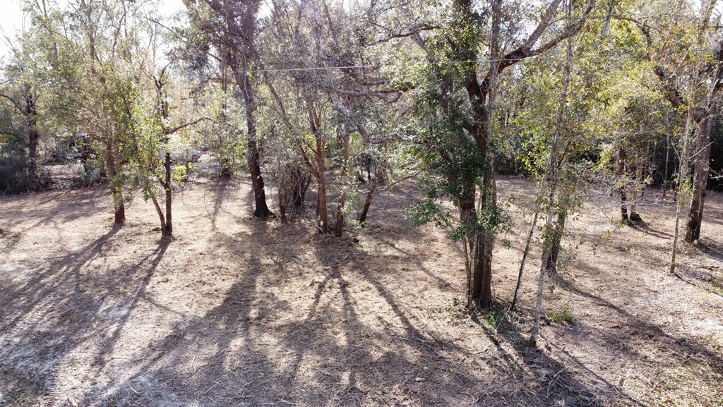 6 Honey Hill Road Wewahitchka, FL 32465 - Photo 14 of 18