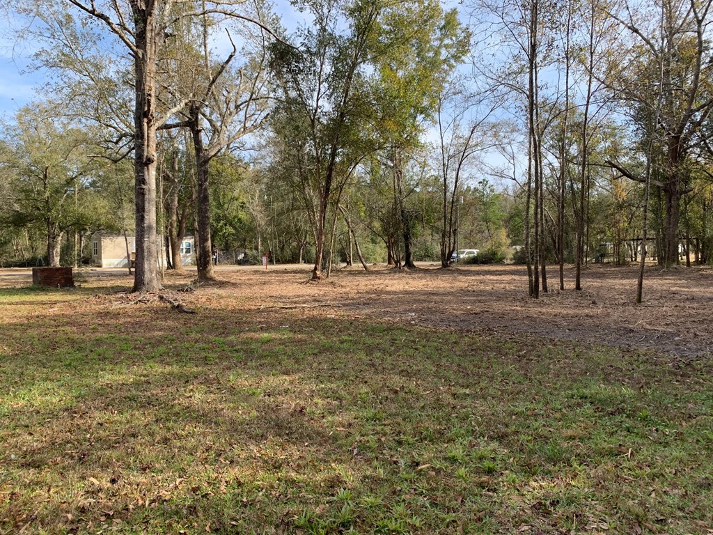 6 Honey Hill Road Wewahitchka, FL 32465 - Photo 16 of 18