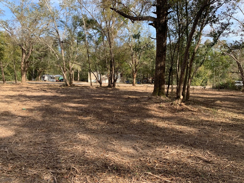 6 Honey Hill Road Wewahitchka, FL 32465 - Photo 18 of 18