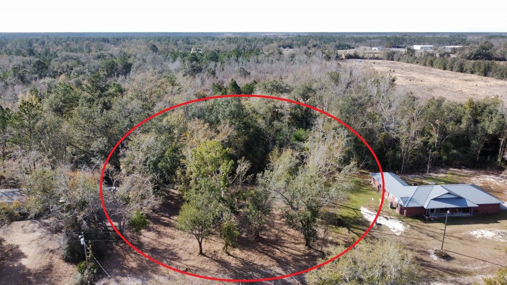 6 Honey Hill Road Wewahitchka, FL 32465 - Photo 2 of 18