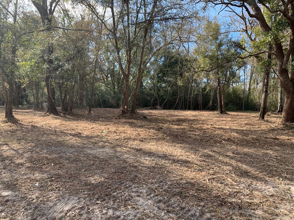 6 Honey Hill Road Wewahitchka, FL 32465 - Photo 3 of 18