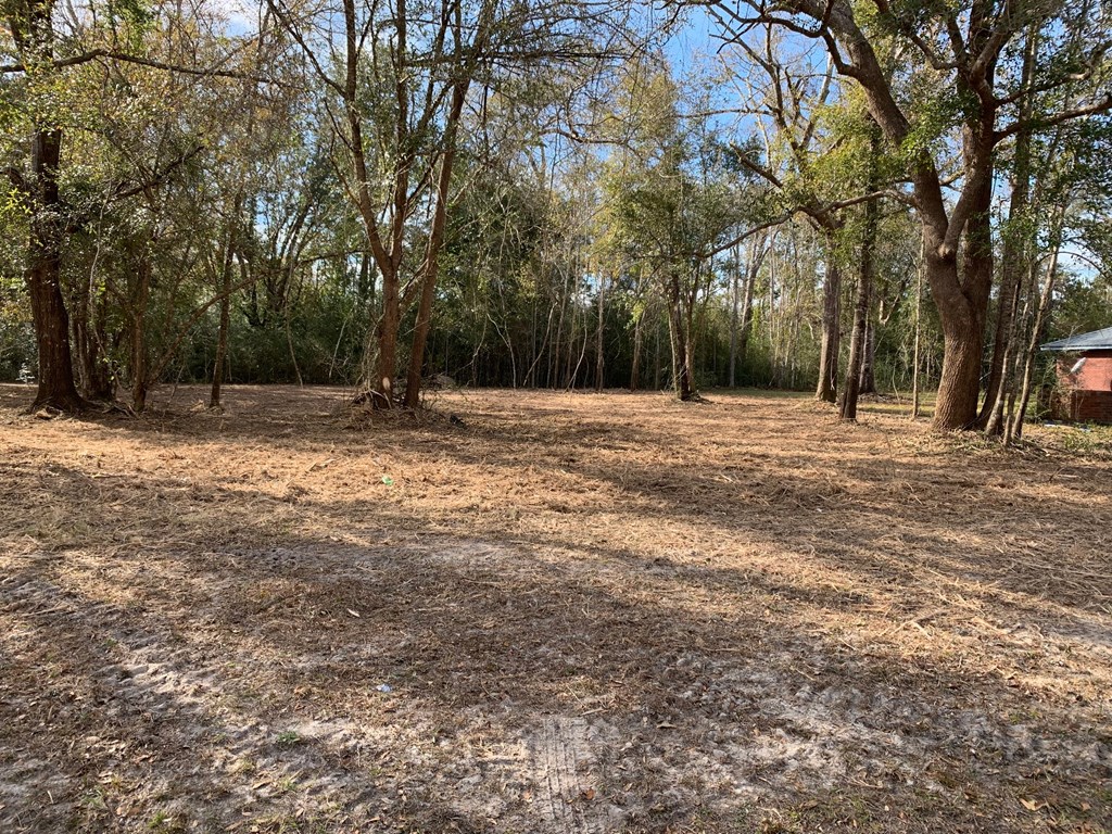 6 Honey Hill Road Wewahitchka, FL 32465 - Photo 5 of 18