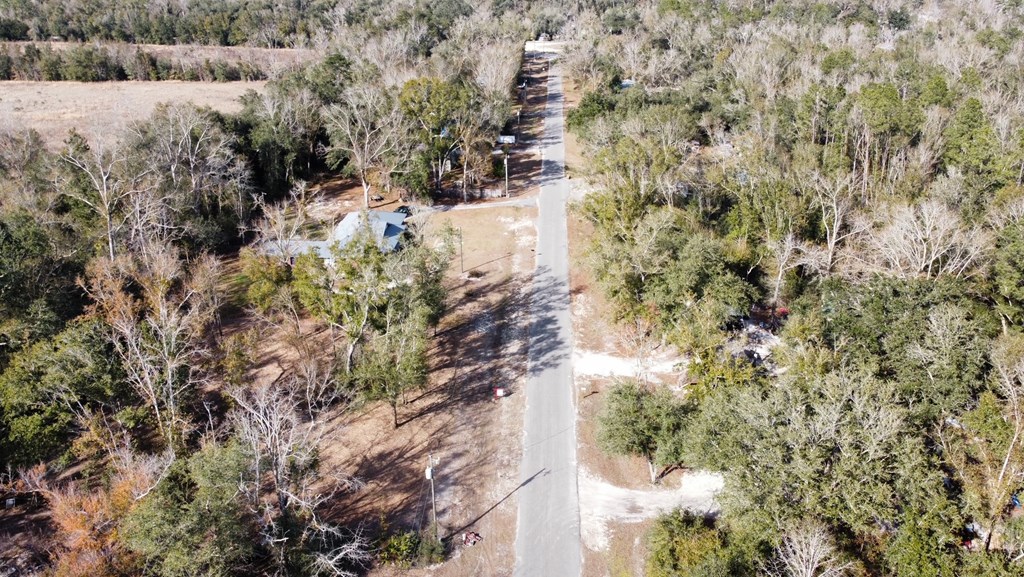 6 Honey Hill Road Wewahitchka, FL 32465 - Photo 6 of 18