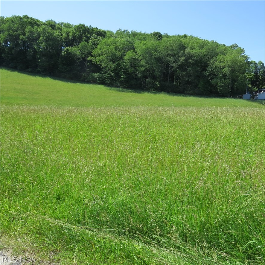 Fargo Road Southwest Dellroy, OH 44620 - Photo 5 of 14