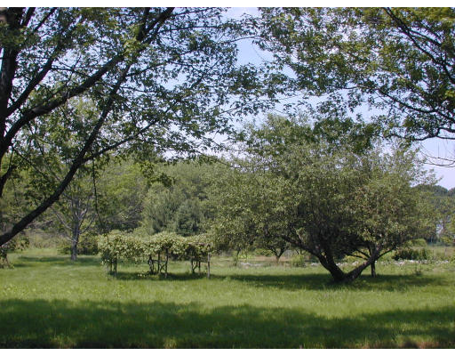 1643 Monument Street Concord, MA 01742 - Photo 3 of 4