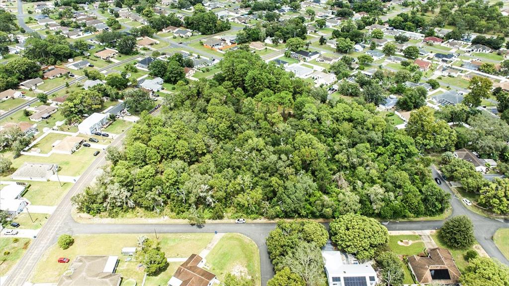 Linden Dr Spring Hill Spring Hill, FL 34608 - Photo 15 of 20