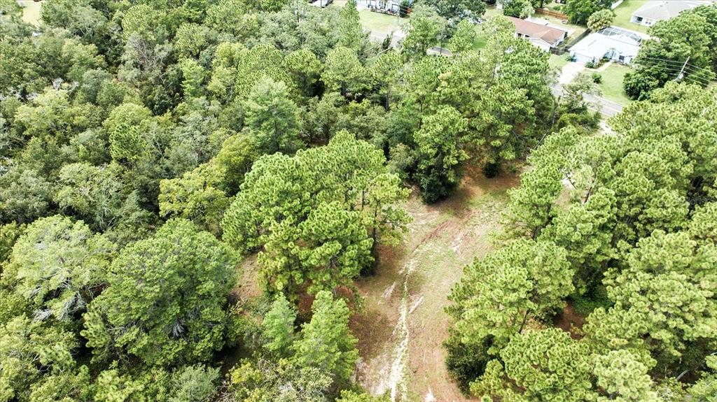 Linden Dr Spring Hill Spring Hill, FL 34608 - Photo 18 of 20