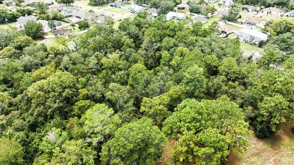 Linden Dr Spring Hill Spring Hill, FL 34608 - Photo 19 of 20