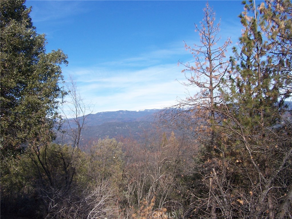 1 Jean Road West Oakhurst, CA 93644 - Photo 5 of 5 a view of a tree in a field with a tree in the background