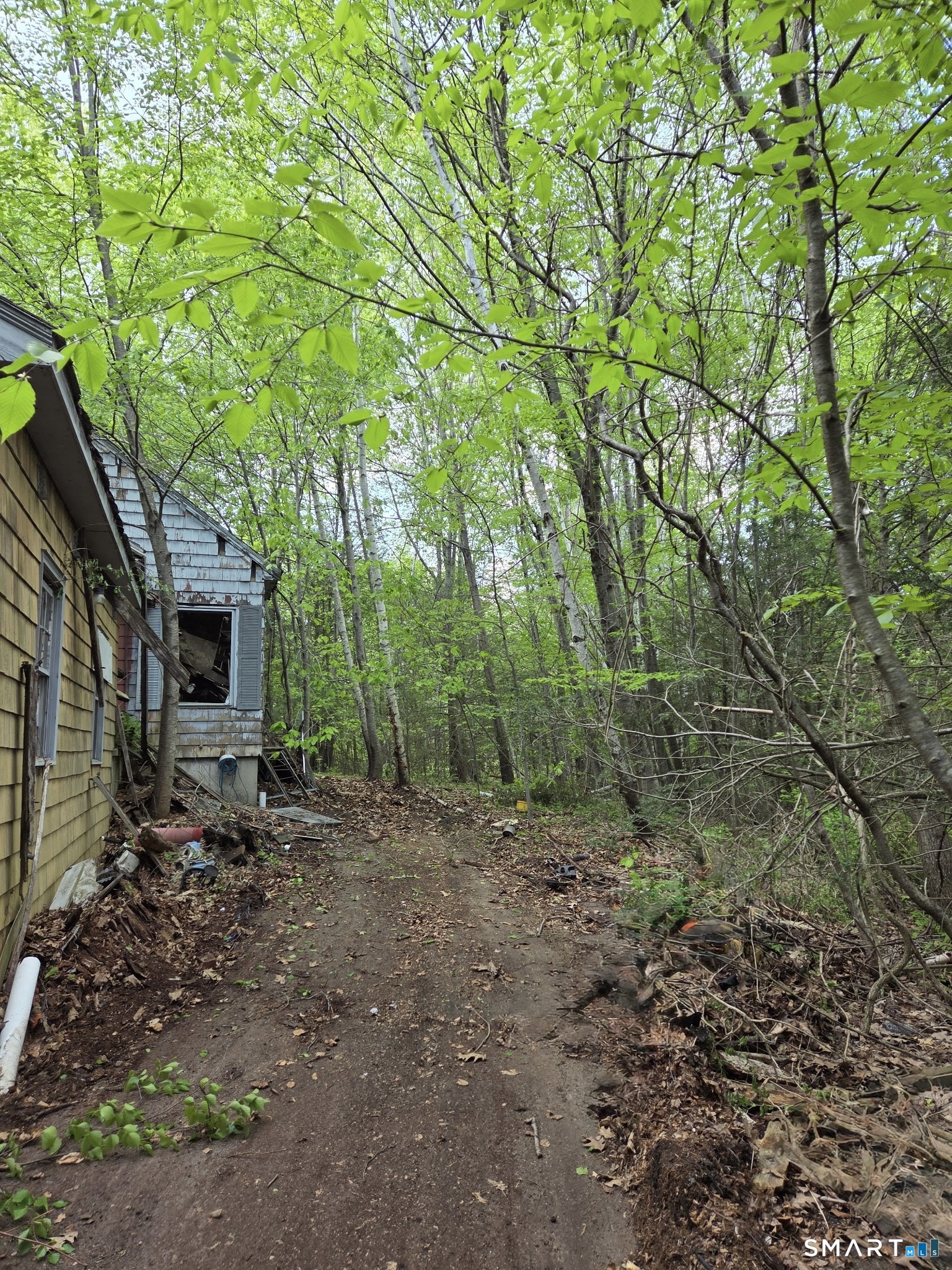 33 Davis Road Harwinton, CT 06791 - Photo 3 of 13 a backyard of a house with lots of green space