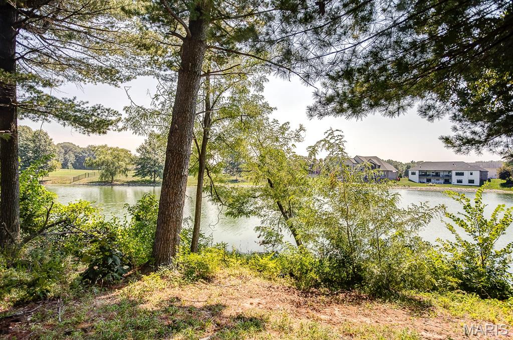 8565 Treybrooke Place O'Fallon, IL 62269 - Photo 40 of 49