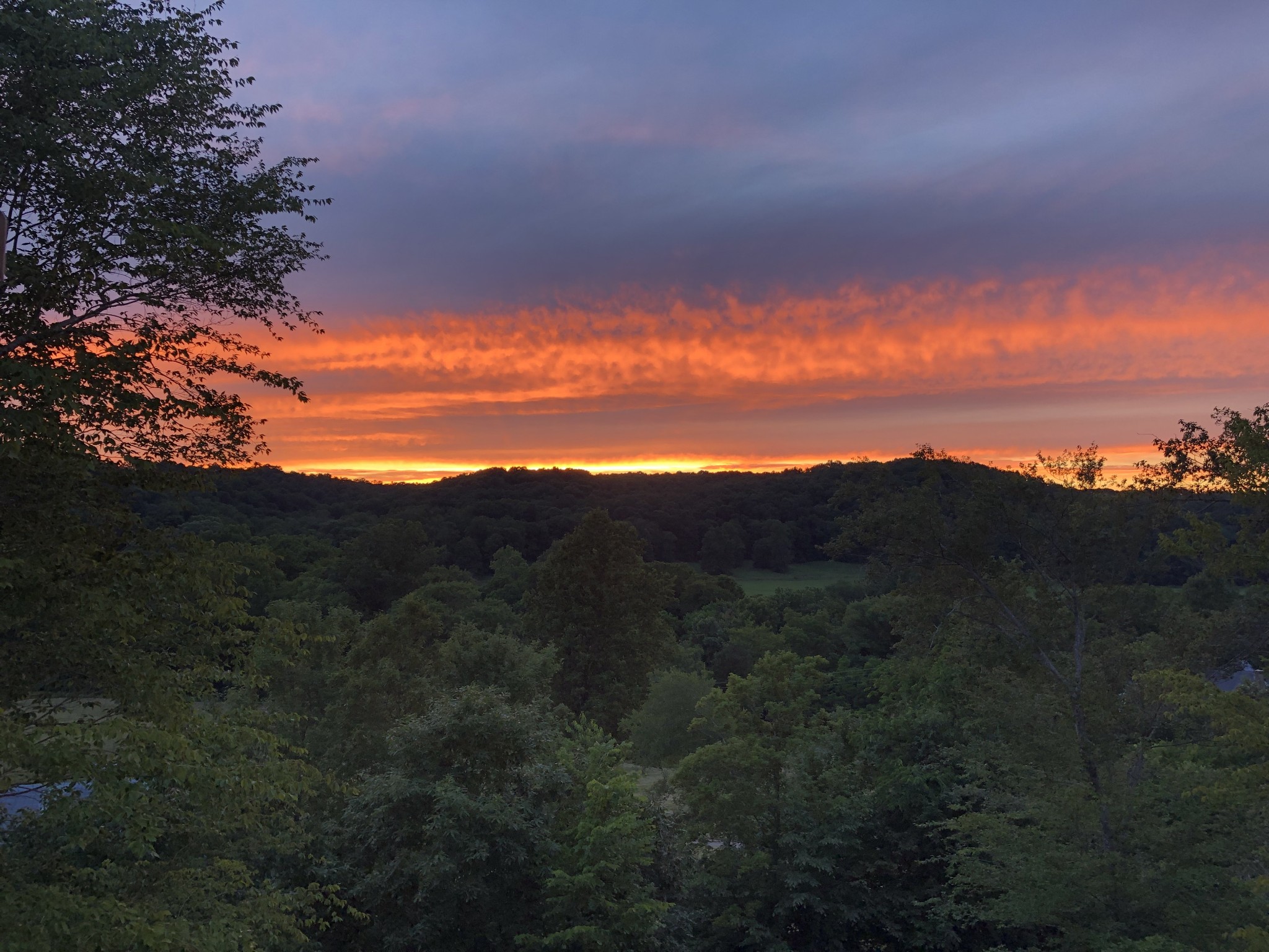 5304 Old Harding Road Franklin, TN 37064 - Photo 18 of 29 a view of a mountain range with lush green forest