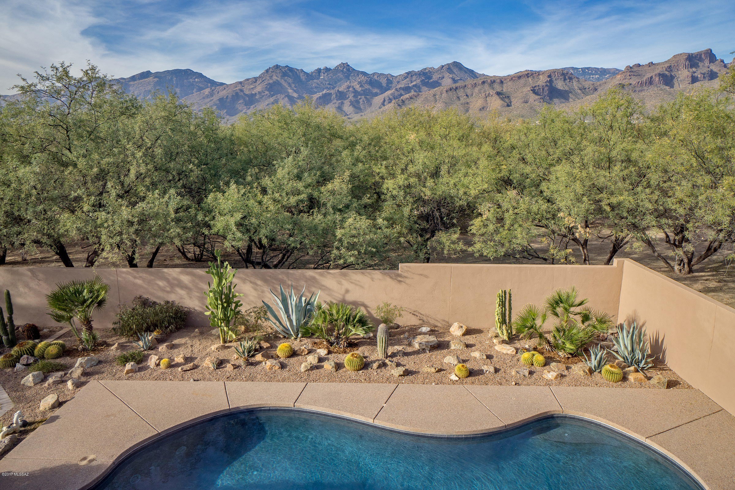 4081 North Harrison Road Tucson, AZ 85749 - Photo 7 of 41 Gallery Image 7