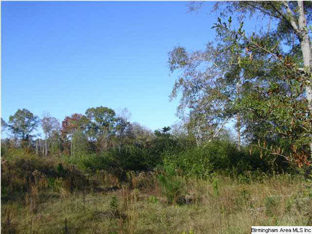 1148 County Road 418 Clanton, AL 35045 - Photo 5 of 10