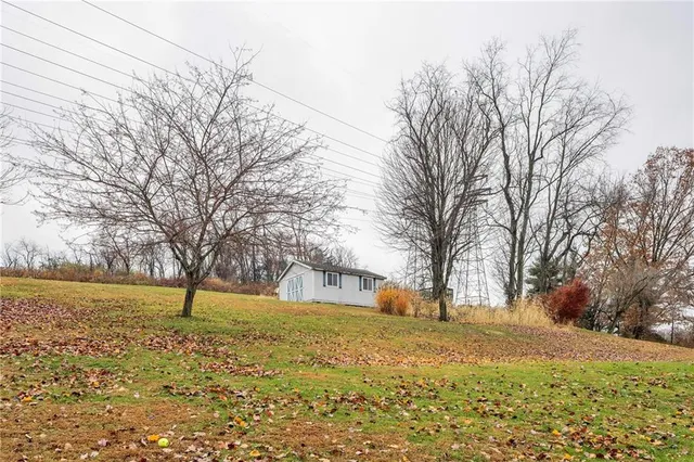 a view of empty space with trees
