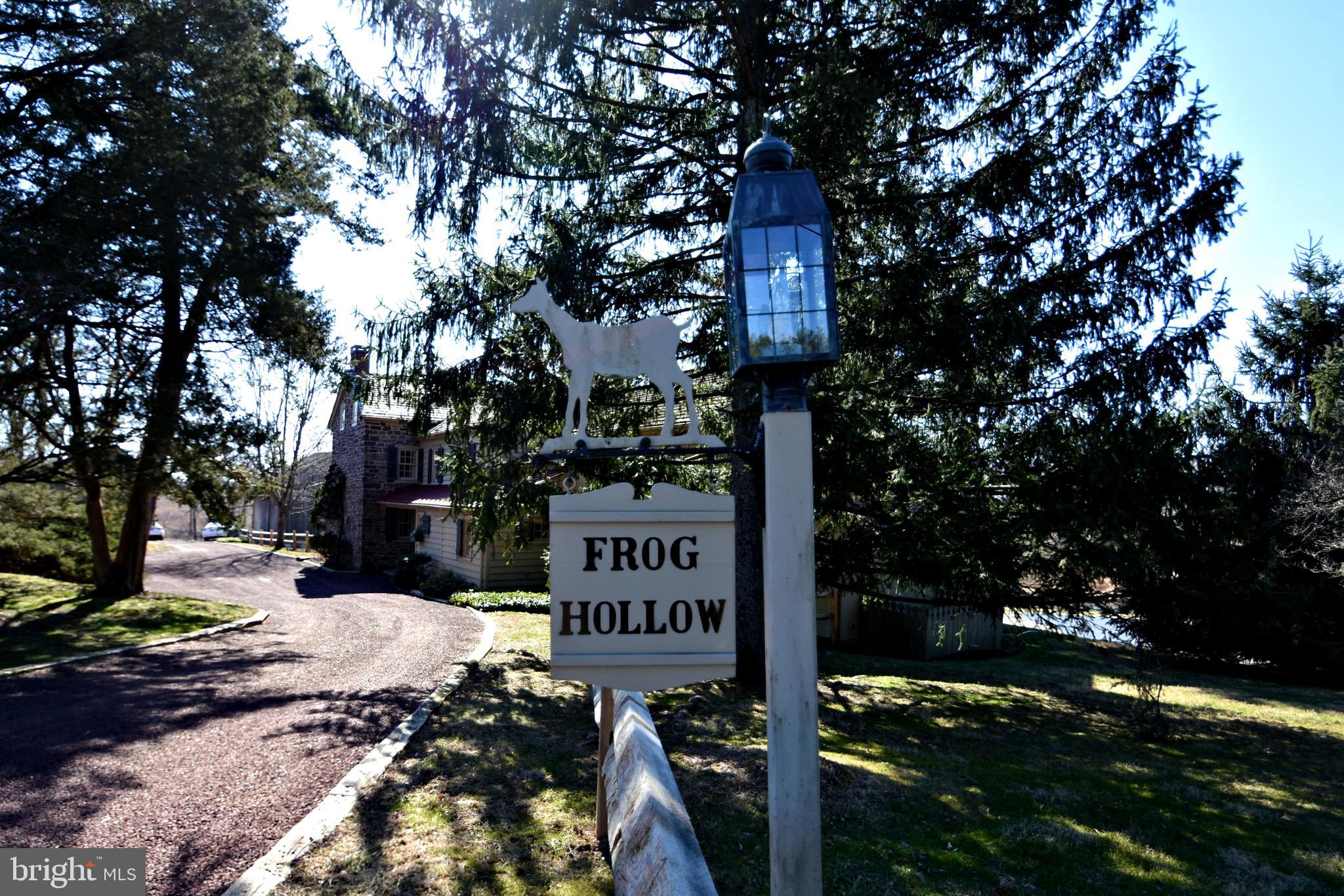 554 Mud Road Newtown, PA 18940 - Photo 4 of 46 Bullfrogs sing summer serenades.