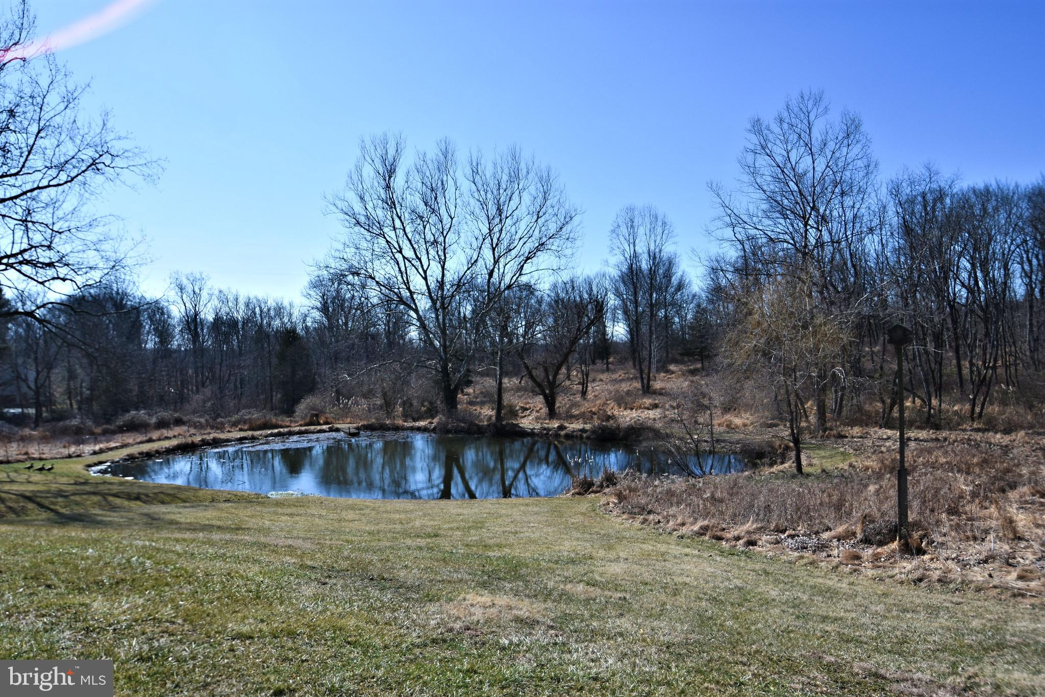 554 Mud Road Newtown, PA 18940 - Photo 40 of 46 12 acres of Unspoiled Privacy. Spring-fed Pond.