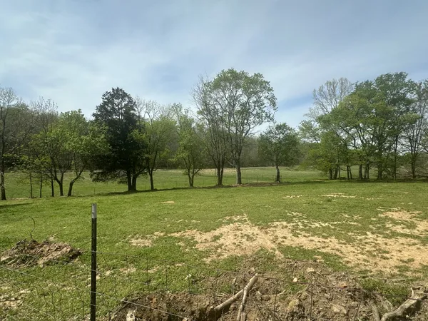 a view of a field with a tree