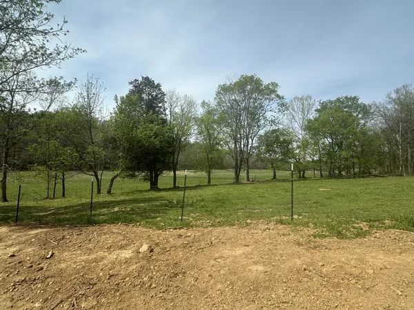 a view of a park with large trees