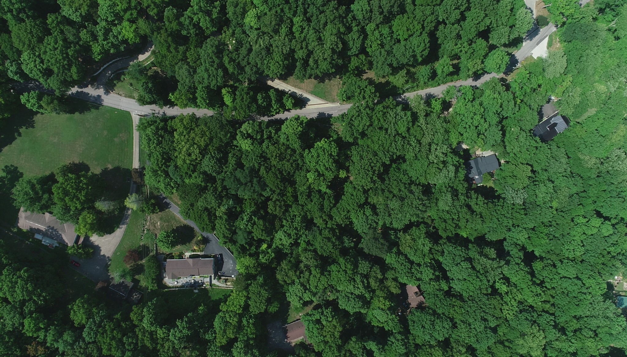 905 Otter Creek Road Nashville, TN 37220 - Photo 11 of 12 a view of a house with a yard