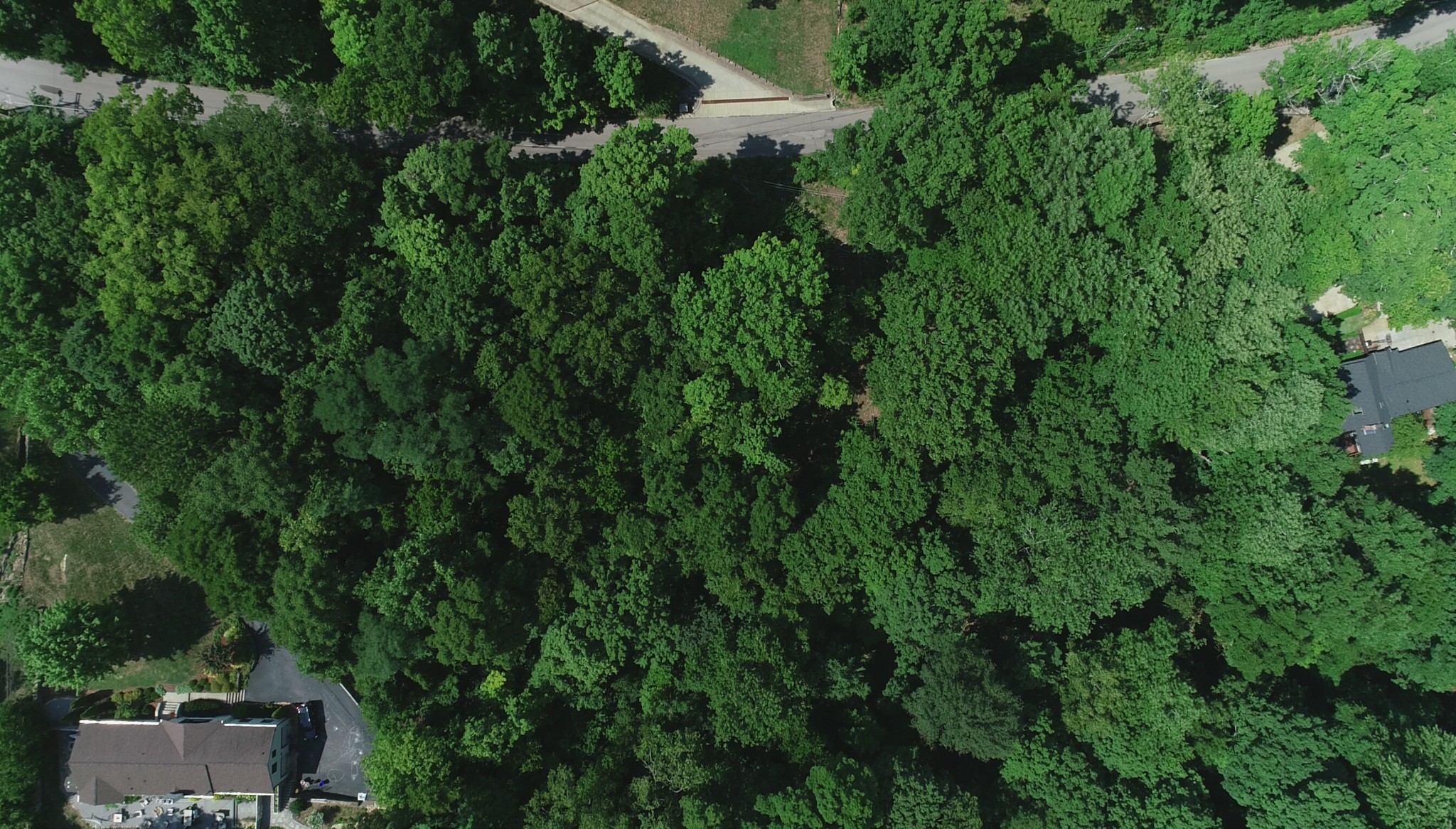 905 Otter Creek Road Nashville, TN 37220 - Photo 9 of 12 an aerial view of a house with a yard