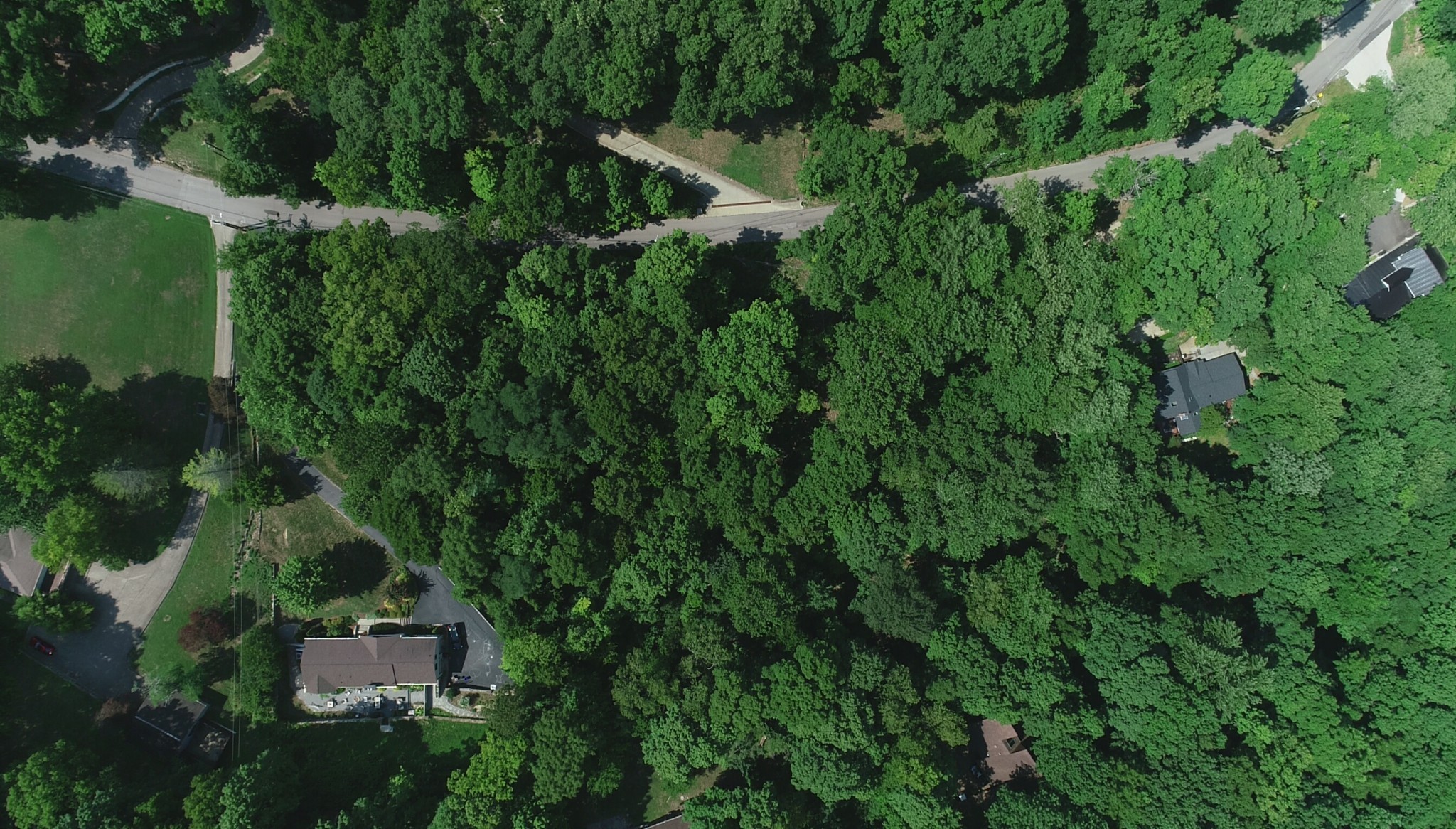 905 Otter Creek Road Nashville, TN 37220 - Photo 10 of 12 an aerial view of residential house with outdoor space and trees all around