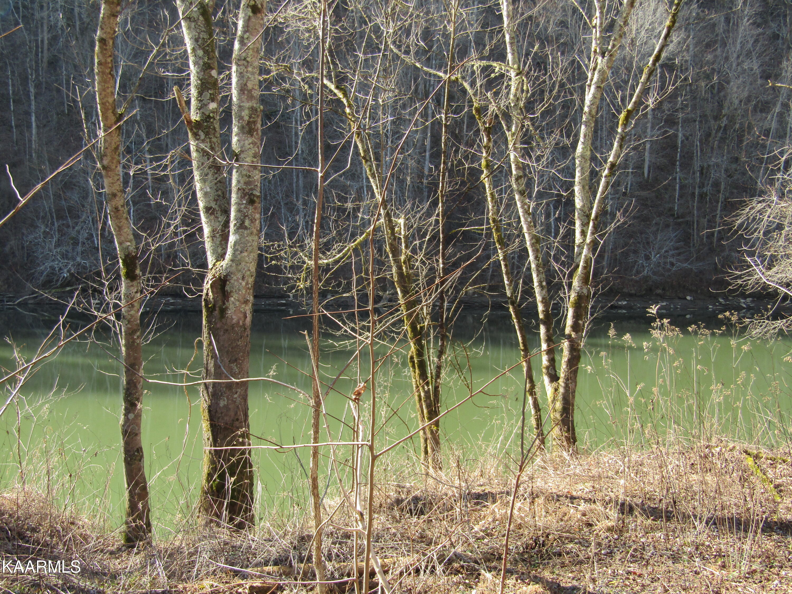 River Bend Drive Celina, TN 38551 - Photo 12 of 21 IMG_1768