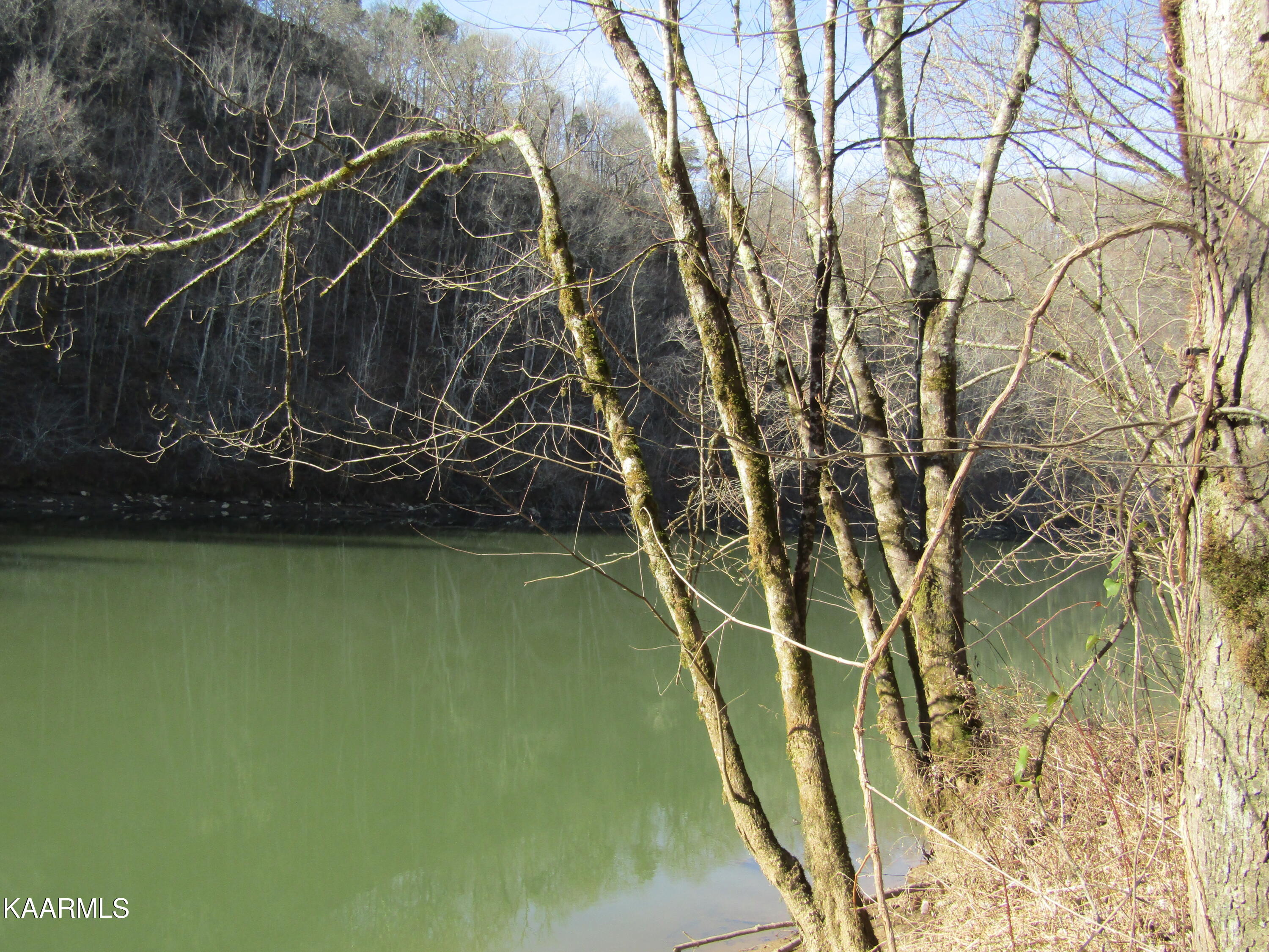 River Bend Drive Celina, TN 38551 - Photo 15 of 21 IMG_1778